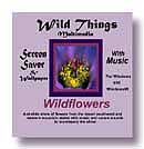 Wildflower SS