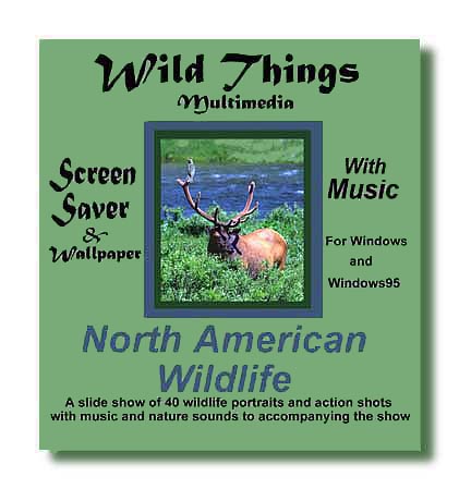 Wildlife Screen Saver Cover