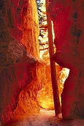 Bryce Canyon Image